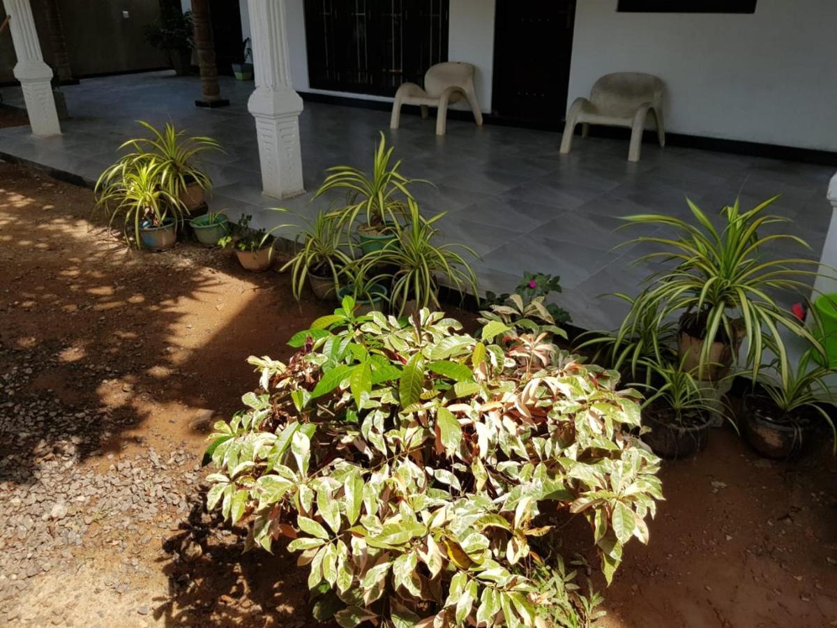 Jungle Reef Rest Hotel Mirissa Exterior foto
