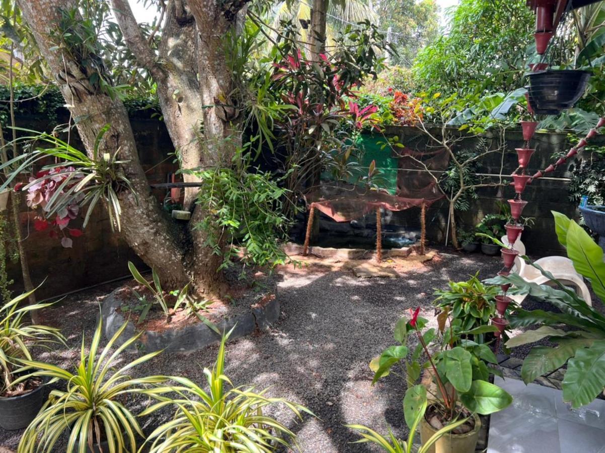 Jungle Reef Rest Hotel Mirissa Exterior foto